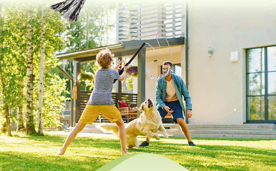 Flirt Pole for Dogs Interactive Dog Toys Durable Heavy Duty Dog Flirt Pole Suitable for Small and Medium Dogs Great Exercise and