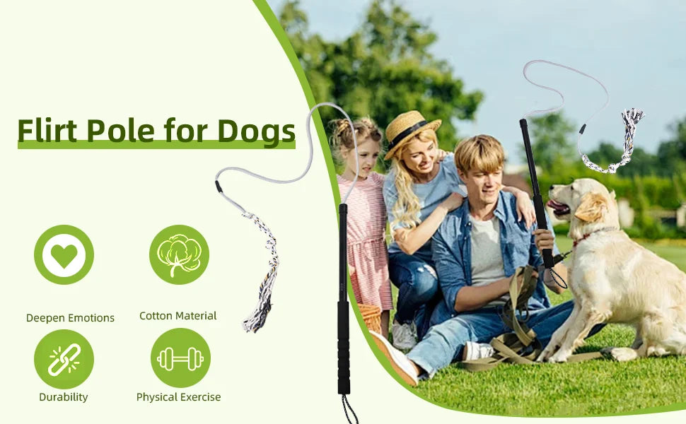 Flirt Pole for Dogs Interactive Dog Toys Durable Heavy Duty Dog Flirt Pole Suitable for Small and Medium Dogs Great Exercise and