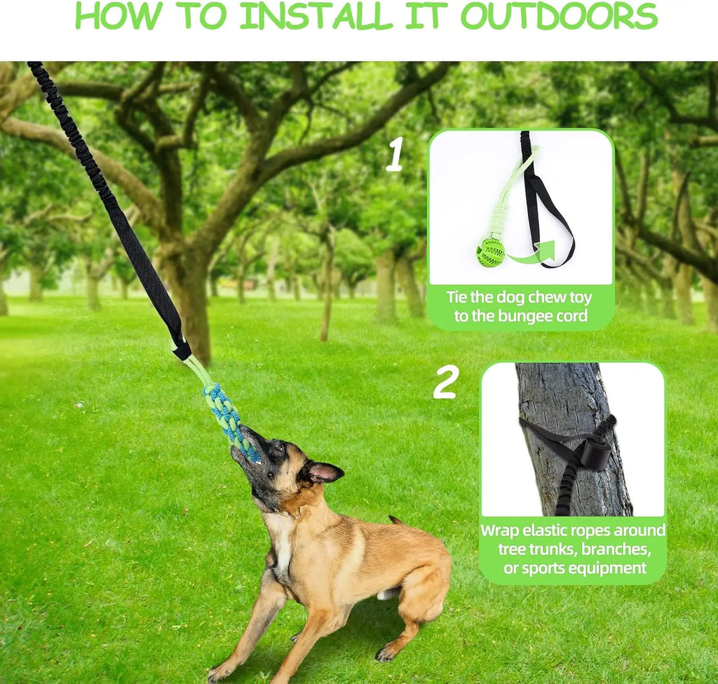 Spring Pole Dog Rope Toys, Dog Interactive Tether Tug of War Toy, Indoor/Outdoor Bungee Hanging Dogs Toy