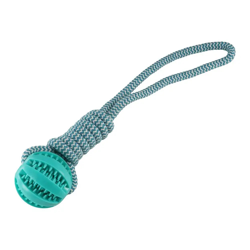 Bite Resistant Dog Spring Pole Toys 5M Cotton Rope Hanging Exercise Cotton Rope Dog Spring Pole Toys Tug Dog Teething Outdoor