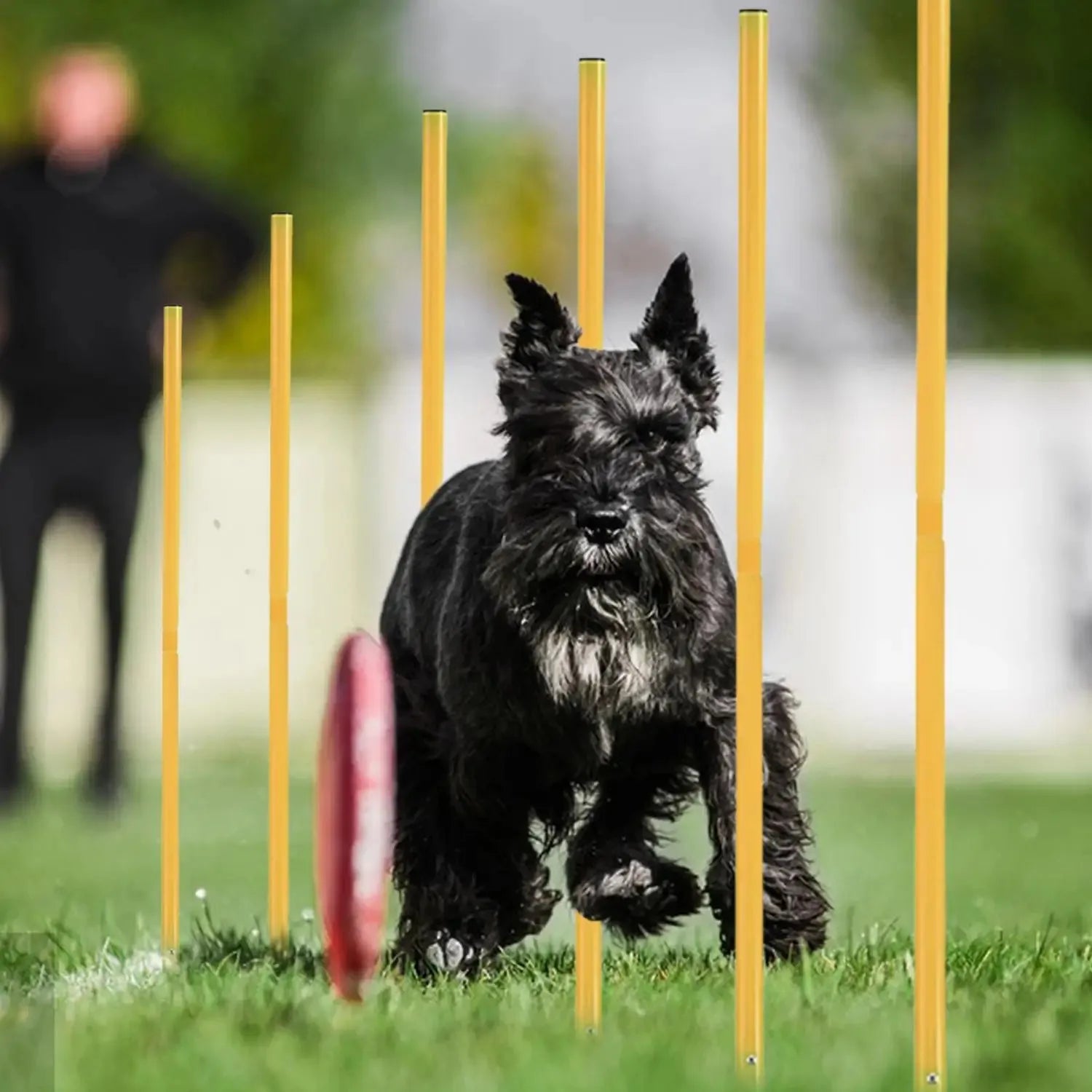 Dog Agility Training Equipment Portable Dog Jumping Tool Outdoor Dogs Running Stake Sports Stakes Pole Pet Agility Equipment Set
