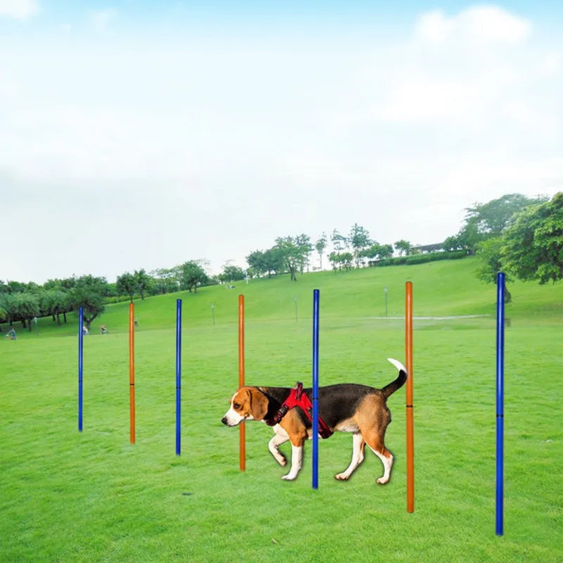 Dribbling Around Poles Training Obstacle, S-Shaped Running Sign Post, Football Auxiliary Training Equipment, Dog Agility Trainer