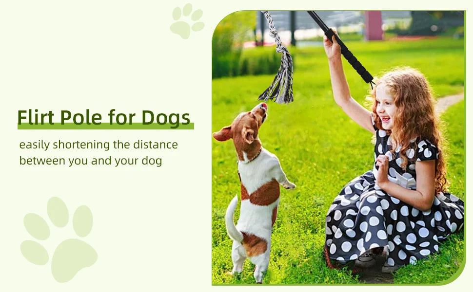 Flirt Pole for Dogs Interactive Dog Toys Durable Heavy Duty Dog Flirt Pole Suitable for Small and Medium Dogs Great Exercise and