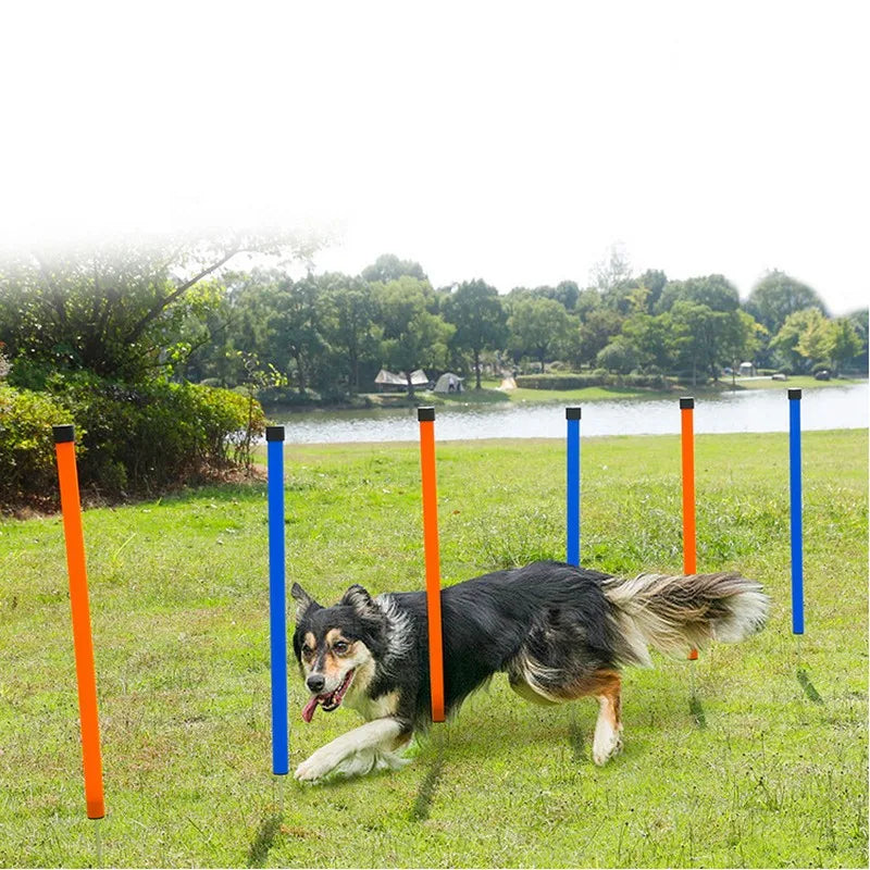 Dribbling Around Poles Training Obstacle, S-Shaped Running Sign Post, Football Auxiliary Training Equipment, Dog Agility Trainer