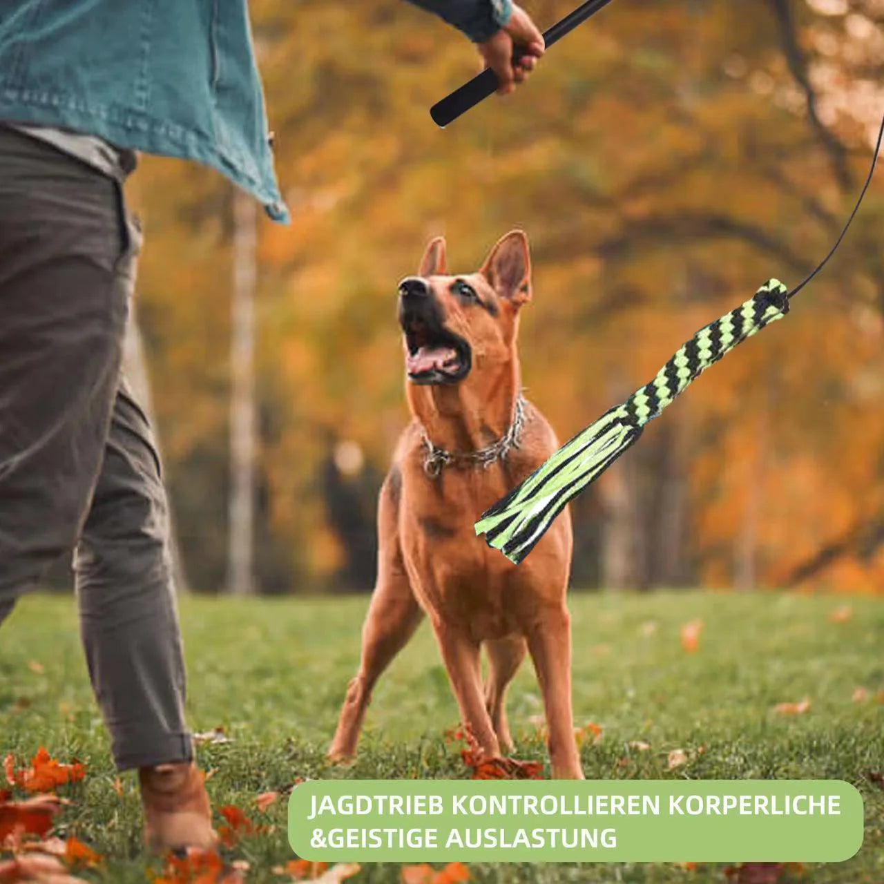 Telescopic Dog Teeth Grinding Toy Interactive Dog Toys Fit Multiple Scenarios Flirt Pole for Dogs Bite-resistant Dogs Stuff