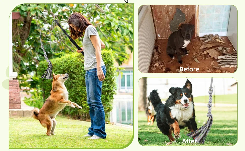 Flirt Pole for Dogs Interactive Dog Toys Durable Heavy Duty Dog Flirt Pole Suitable for Small and Medium Dogs Great Exercise and
